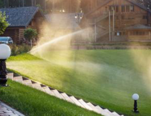 Maxum Irrigation Reveals 6 Signs Your Lawn Is Overwatered