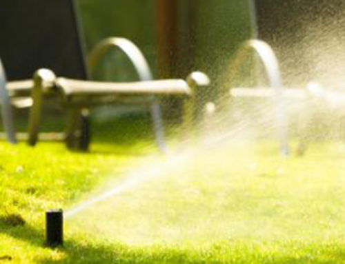 Maxum Irrigation: Why Have Your Sprinkler System Inspected