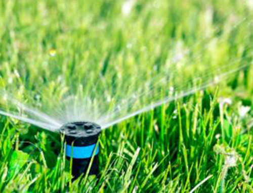 4 Frequently Asked Questions About Water Irrigation Installation