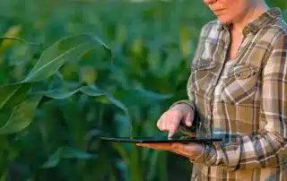 waterford-ct-drip-irrigation-maxum-irrigation