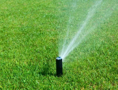 4 Tips for Adjusting Your Irrigation System for August
