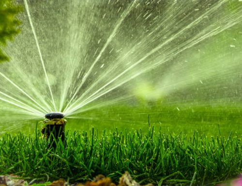 Common Sprinkler System Repair Issues