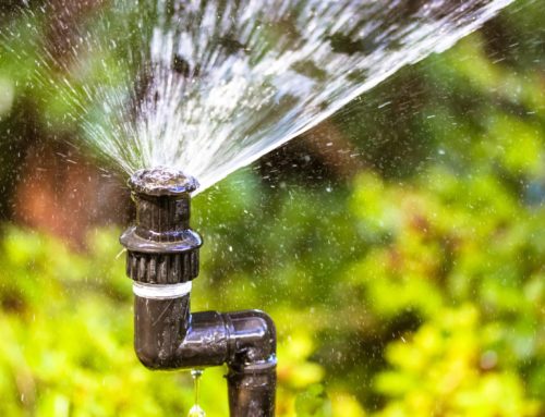 Signs You Need a Sprinkler System Repair