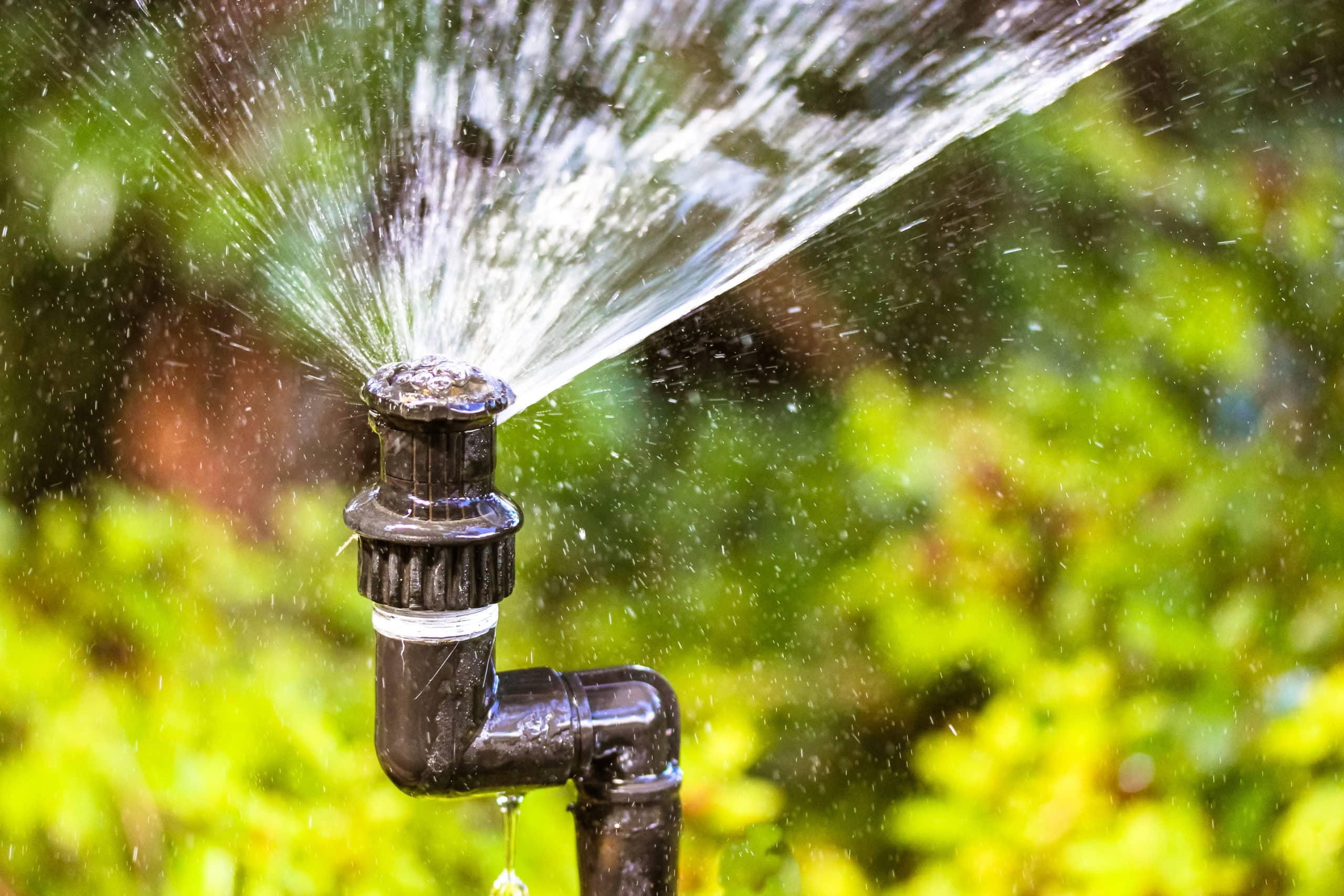 Signs You Need A Sprinkler System Repair Maxum Irrigation Plumbing 