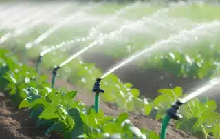 Seasonal Irrigation Schedule Adjustments_ Optimizing Water Usage Year-Round