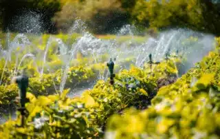 Deep Dive_ Why Proper Winterization Is Critical for Connecticut Irrigation Systems