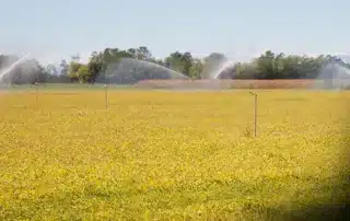 Fall Irrigation Prep_ Why a Professional Inspection Now Can Save You Money Next Spring