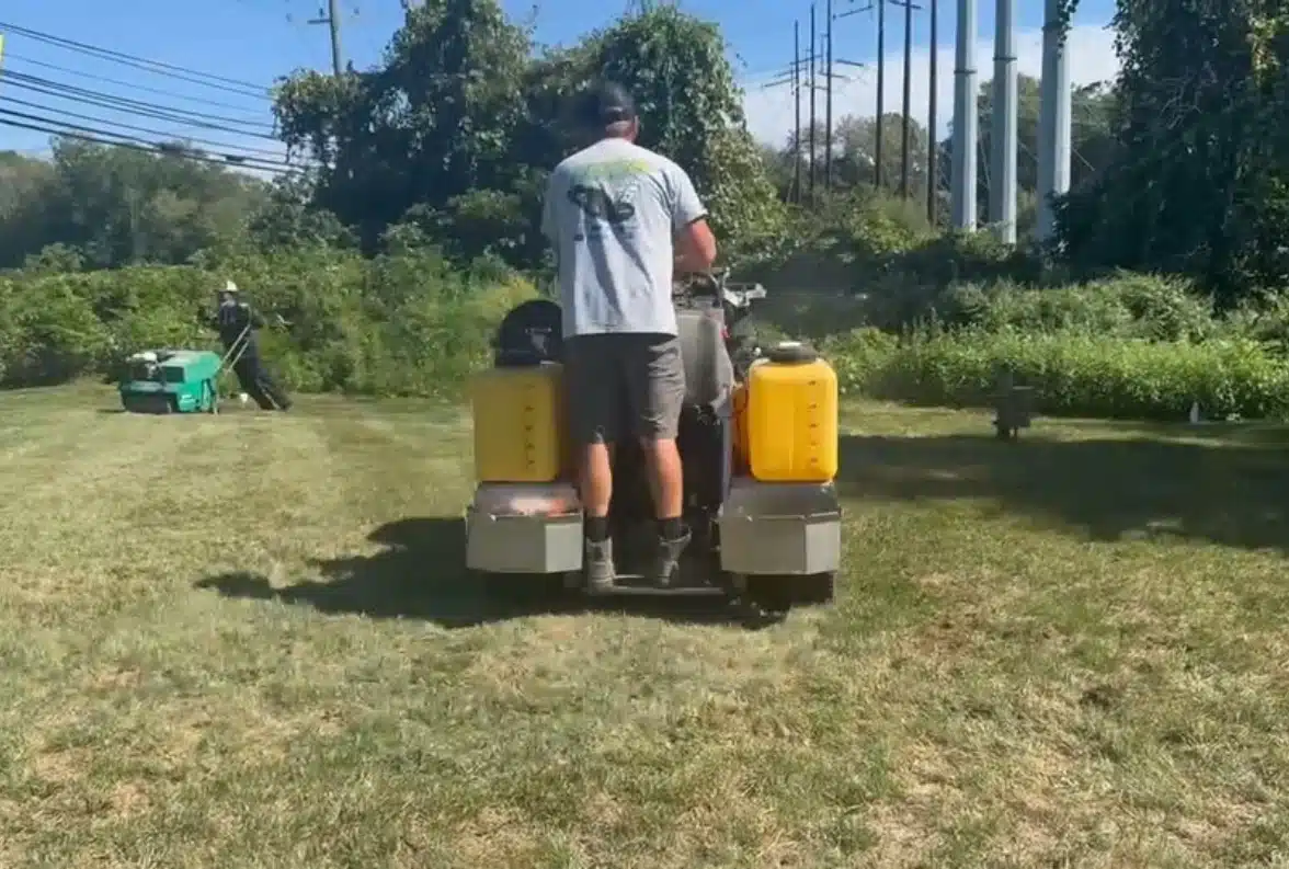lawn-maintenance
